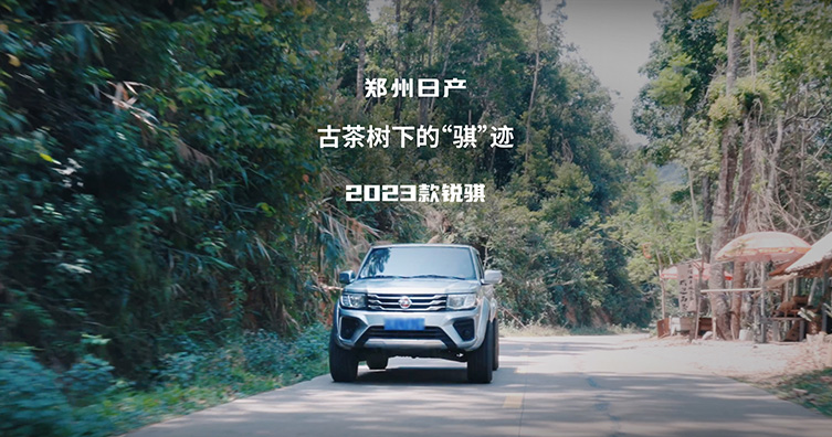 云南西雙版納新銳騏車主故事（二）