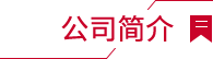 公司簡(jiǎn)介